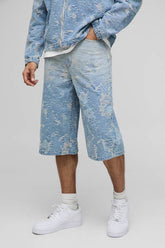 Regular Distressed Denim Jorts