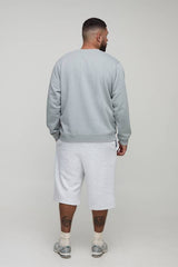 Plus Limited Edition Print Spray Wash Regular Fit Sweater