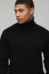 Regular Fit Roll Neck Knitted Jumper