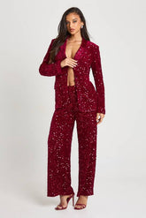 Velvet Sequin Straight Leg Trousers