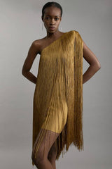 Petite Figure Form Bandage One Shoulder Fringe Mini Knit Dress