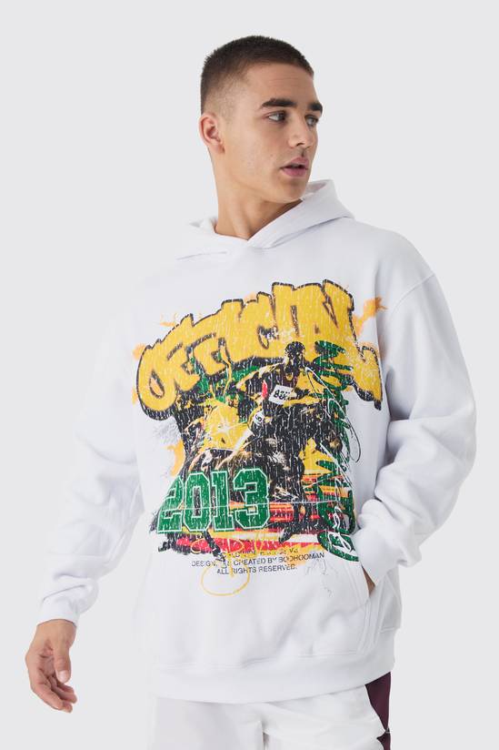 Regular Fit Large Scale Official 2013 Sports Graphic Hoodie
