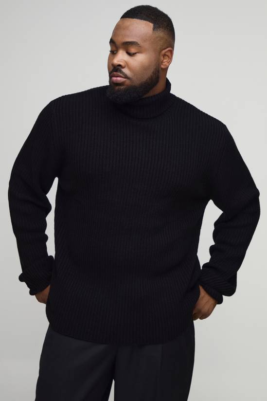 Plus Essential Regular Fit Ribbed Roll Neck Jumper