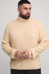 Plus Essential Regular Fit Ribbed Roll Neck Jumper