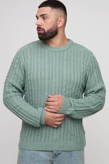 Plus Essential Regular Fit Cable Knit Jumper
