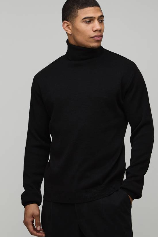Regular Fit Roll Neck Knitted Jumper